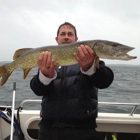 Marina Eldenburg - Ferienhauser Und Bootsverleih Am Tor Zur Muritz *